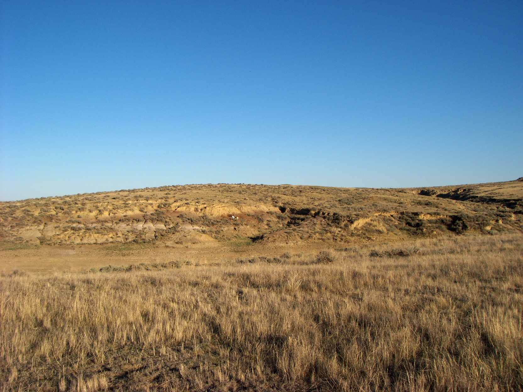 Home Page Prairie Fossil Museum